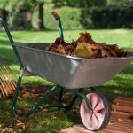 Autumn Lawn and Yard Maintenance Checklist